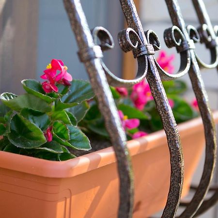 Forras Apartman Егер Екстериор снимка